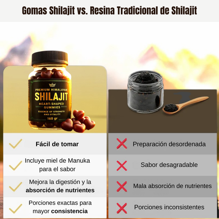 GOMAS SHILAJIT 160G - ¡SUPER OFERTA IMPERDIBLE!